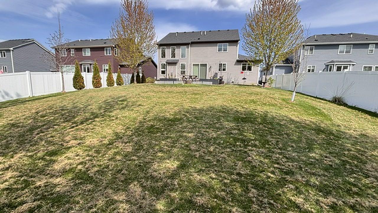 Spring Cleanup Before — landscaping in Waconia, MN