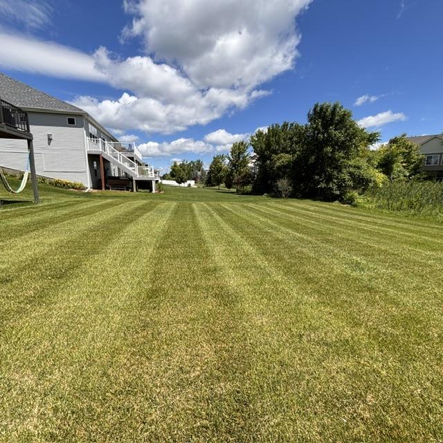 Wide Backyard Mowing Stripes, landscaping in Waconia, MN