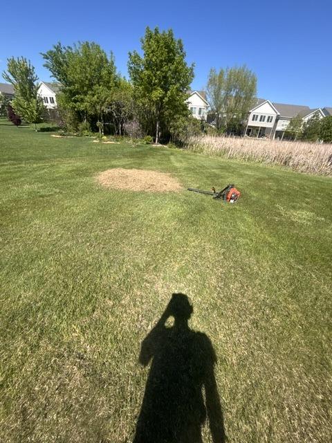 Backpack Blower Lawn Cleanup, landscaping in Waconia, MN