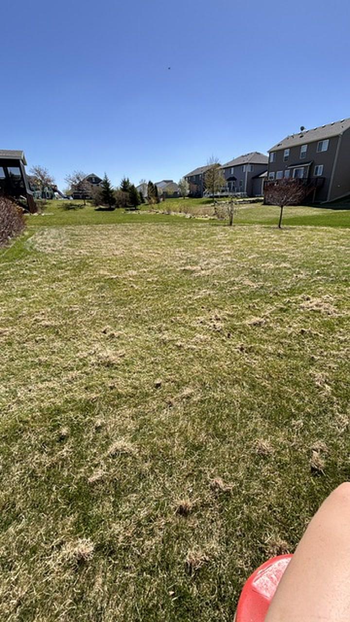 Dethatching & Aeration in Waconia, MN