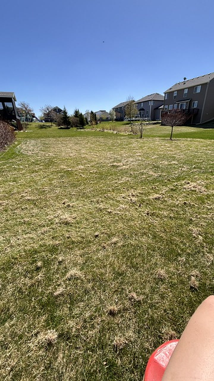 Dethatching & Aeration in Waconia, MN