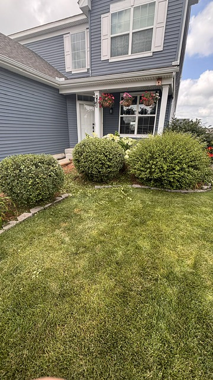 Hedge & Shrub Trimming in Waconia, MN
